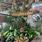 laddawan (10)