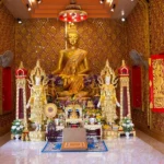 tskG2nUy-image4