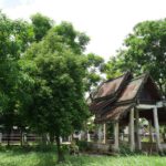 watampawan (3)