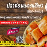 ช่องทางออนไลน์_0